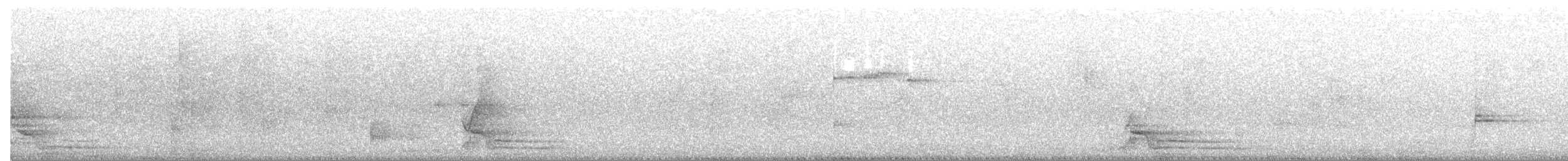 Gray Currawong (Clinking) - ML644301195