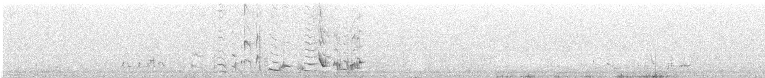 Rufipenne nabouroup - ML644301250