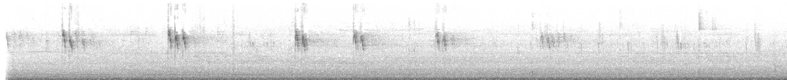 Lavandera Blanca - ML644301362