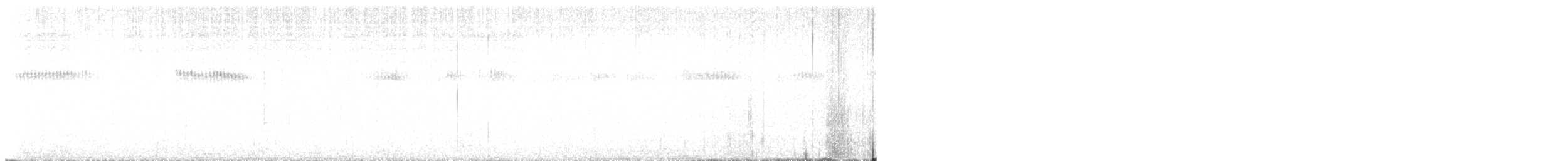 Breitschwanzelfe - ML644301541