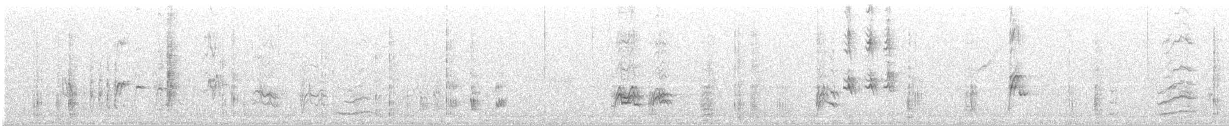 Fahlflügelstar - ML644301547