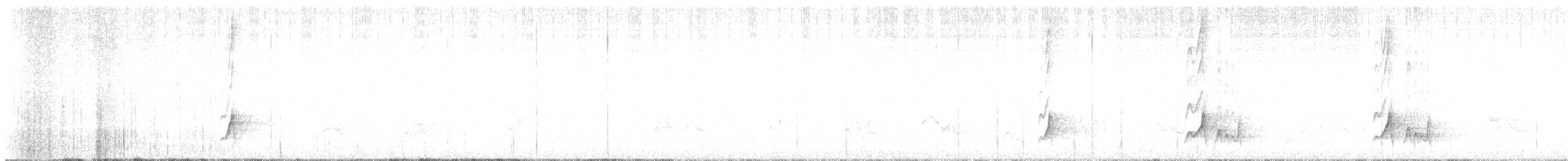 Braunschopftyrann (magister) - ML644301555