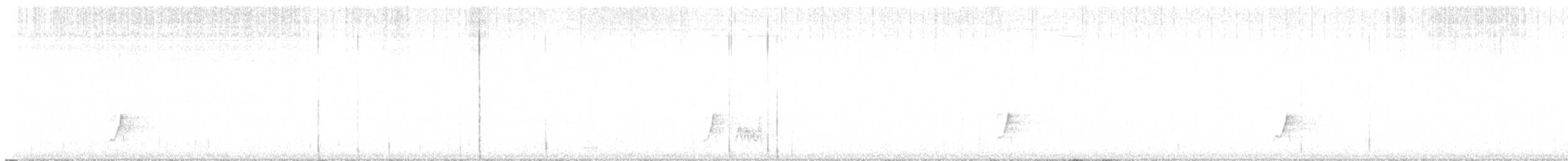 Braunschopftyrann (magister) - ML644301558