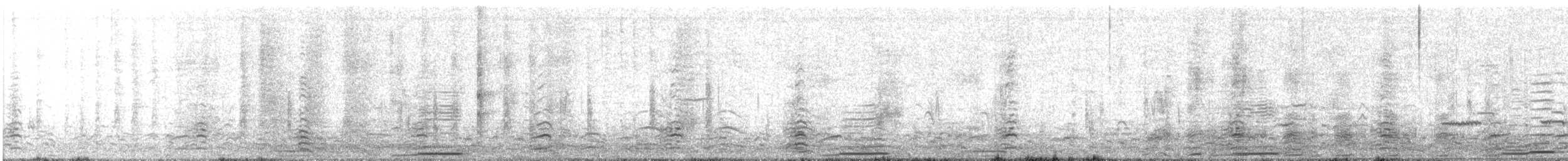 Tundra Swan - ML644301652