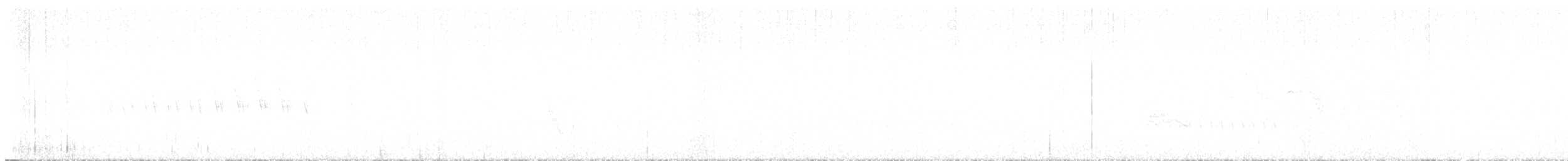 Grace's Warbler - ML644301657