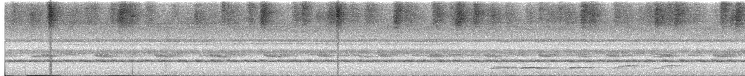 ニセメンフクロウ - ML644301791