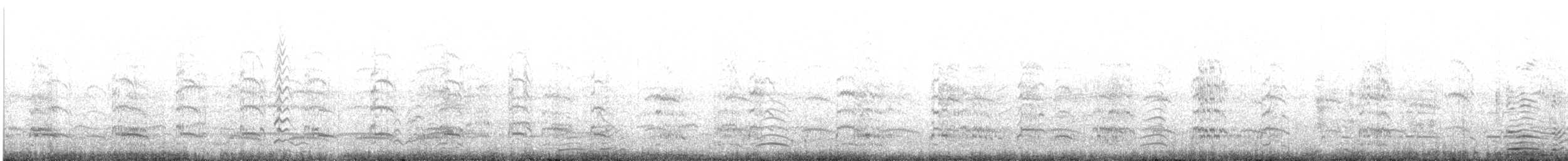 Andean Gull - ML644301807