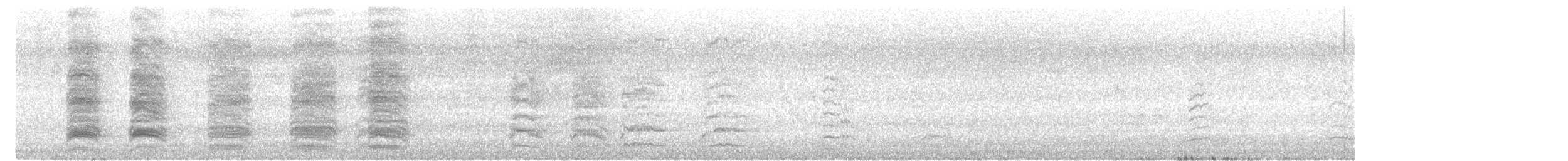 Burrowing Parakeet - ML644302175