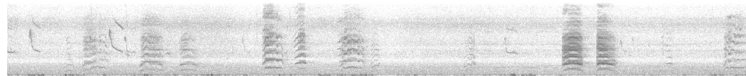 Burrowing Parakeet - ML644302182