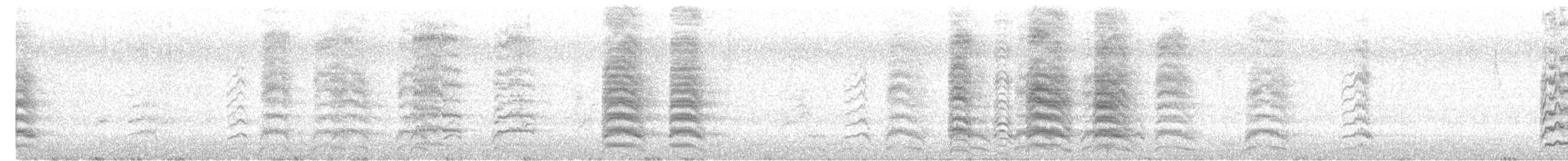 Burrowing Parakeet - ML644302184