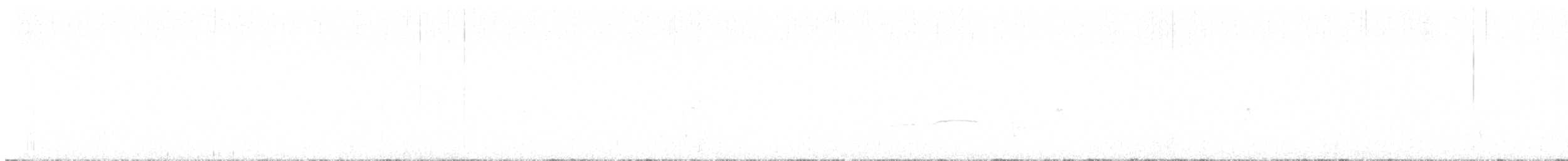 Greater Pewee - ML644302191