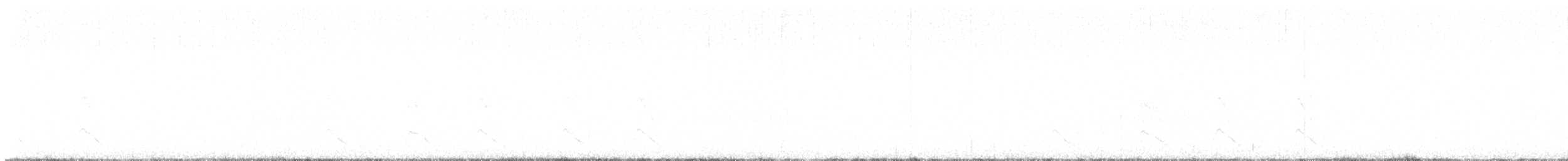 Chevêchette des saguaros - ML644302298