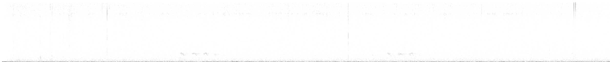 Chevêchette des saguaros - ML644302379