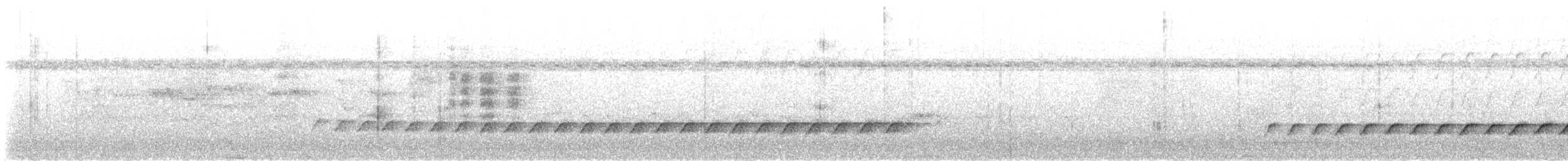 Pied Monarch - ML644302792