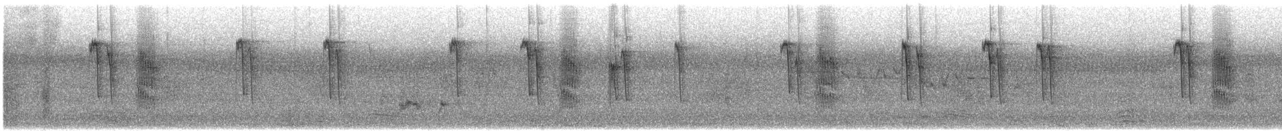 Garrulaxe barré - ML644302820