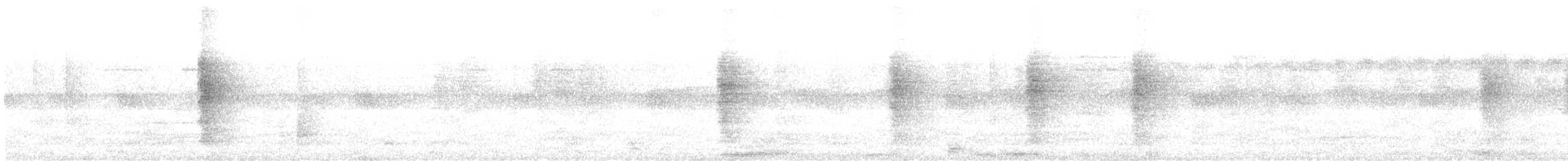 Abanico Pechipinto - ML644302981