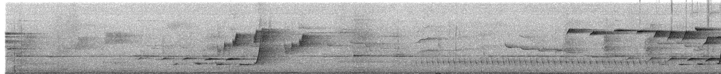 Brown Gerygone - ML644303192