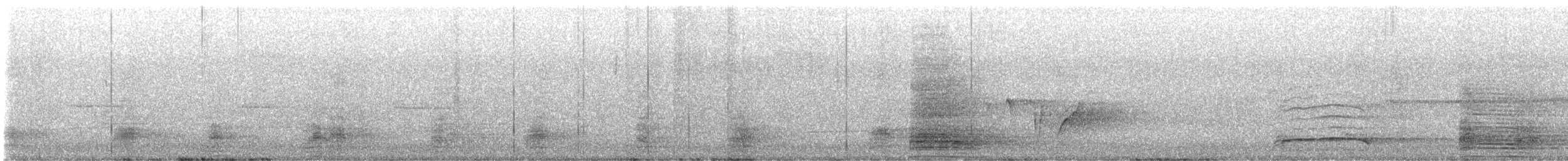 マミジロカルガモ - ML644303285