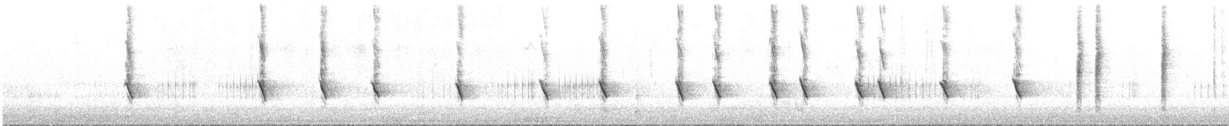 New Holland Honeyeater - ML644304450