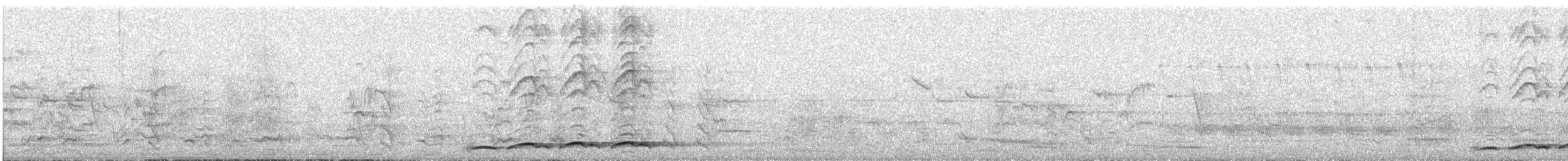 オーストラリアオニカッコウ - ML644304664