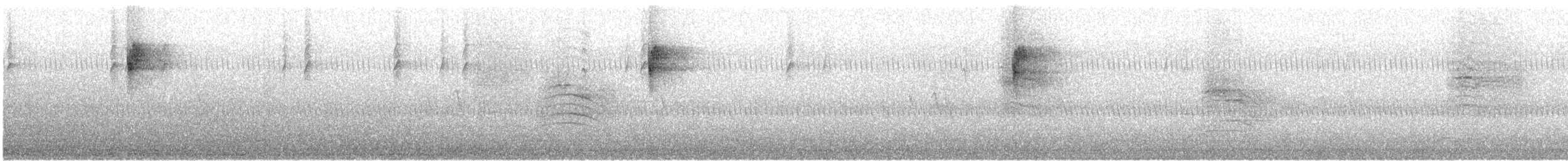 Gray Catbird - ML644306820