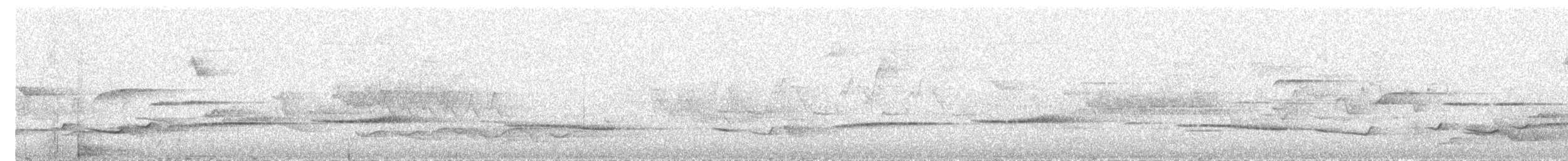 Snowy-browed Flycatcher - ML644307369