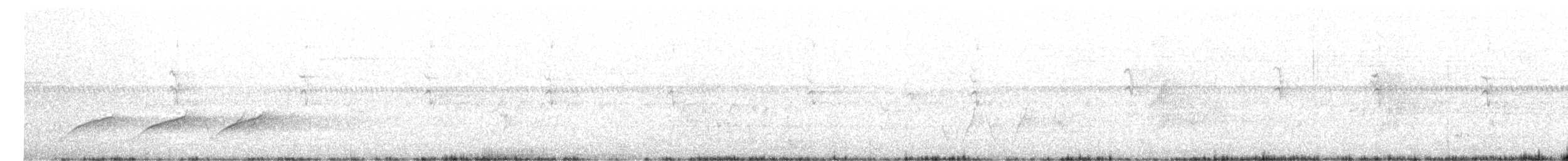 Restless Flycatcher - ML644308178