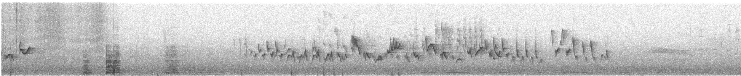 Western Warbling Vireo - ML644308760