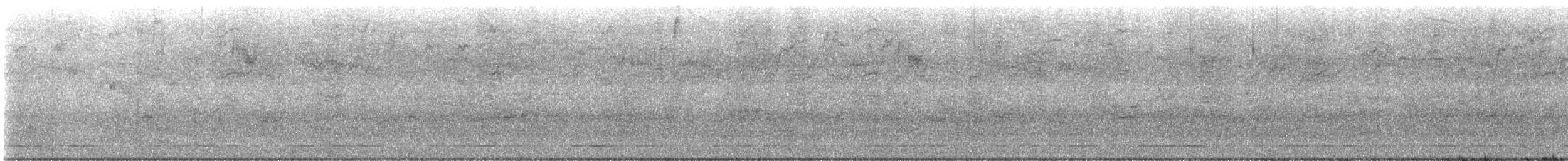 Quiscale bronzé - ML644308800