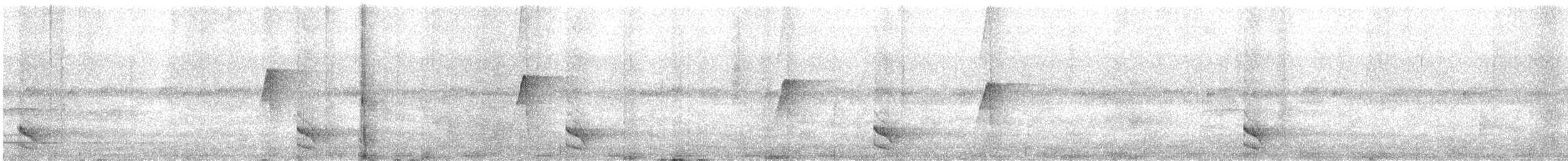 Barred Forest-Falcon - ML644308901