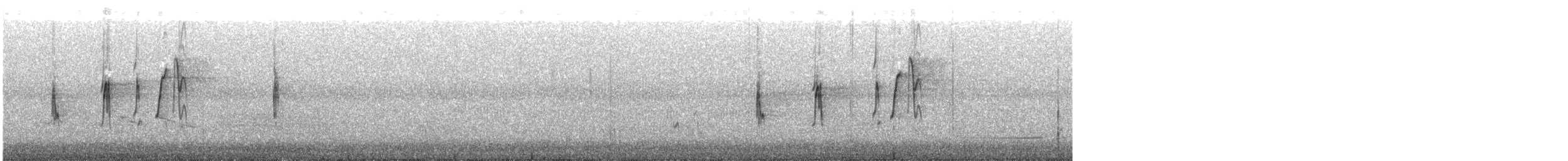 Bandammer - ML644309324