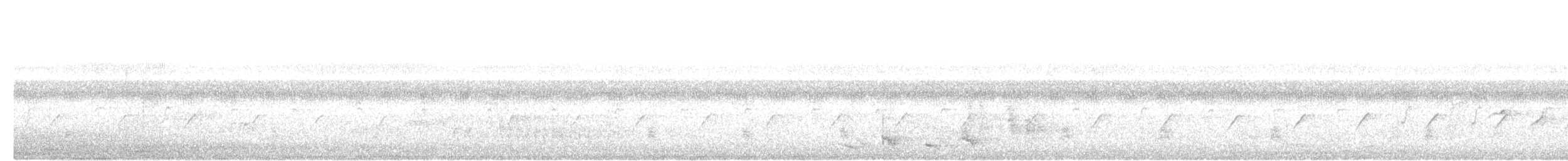 Bold-striped Tit-Babbler - ML644309537