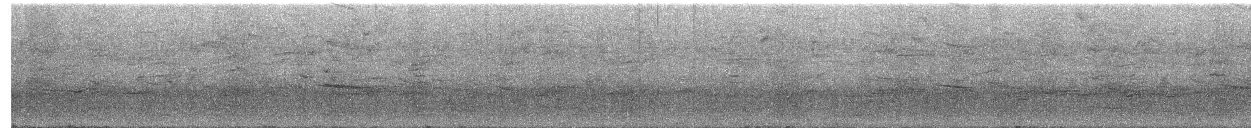 Quiscale bronzé - ML644310090