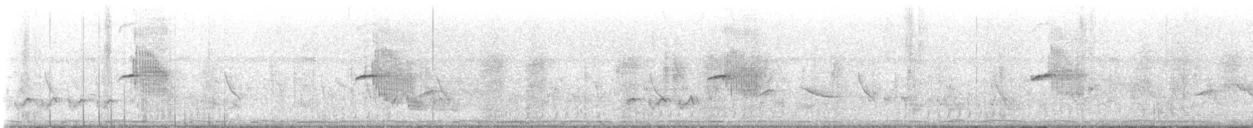 Oriental Magpie-Robin - ML644310646