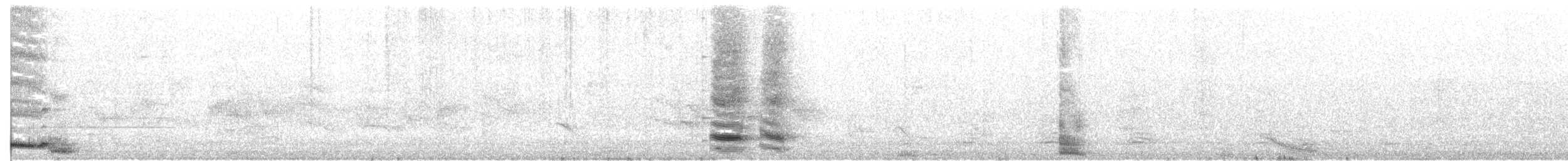 Australian Magpie - ML644310837