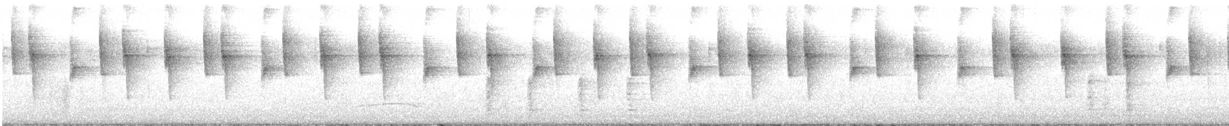 Colibri thalassin - ML644310897