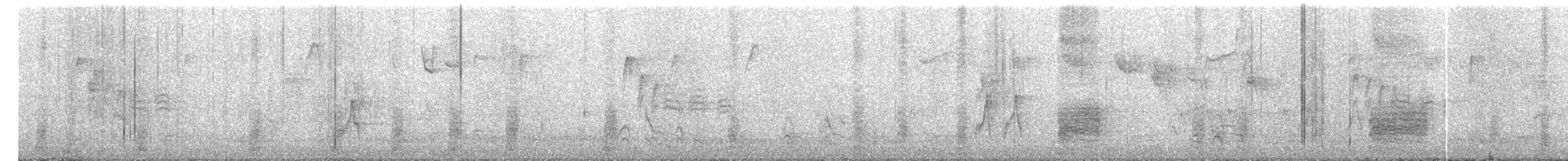 karolinameis x amerikameis (hybrid) - ML644310943