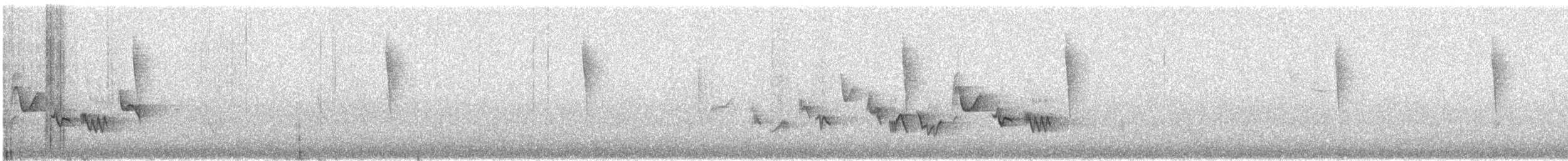 Western Warbling Vireo - ML644311362