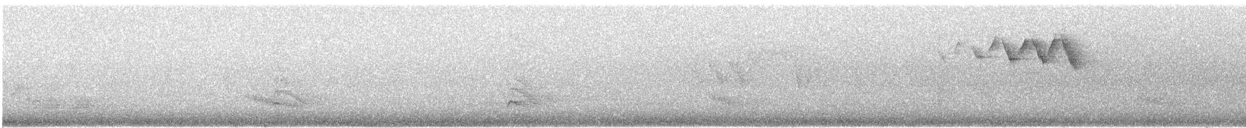 Western Warbling Vireo - ML644311363