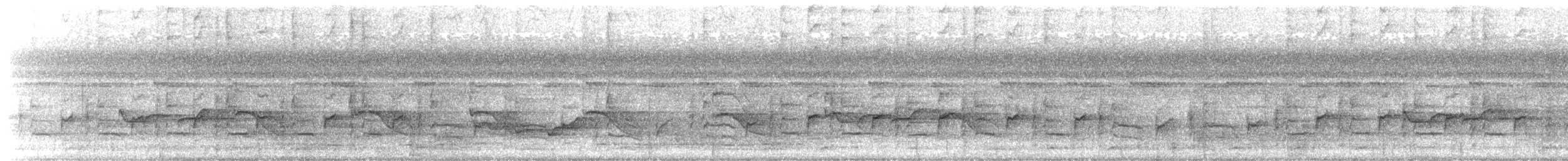 White-chested Babbler (Bornean) - ML644311661