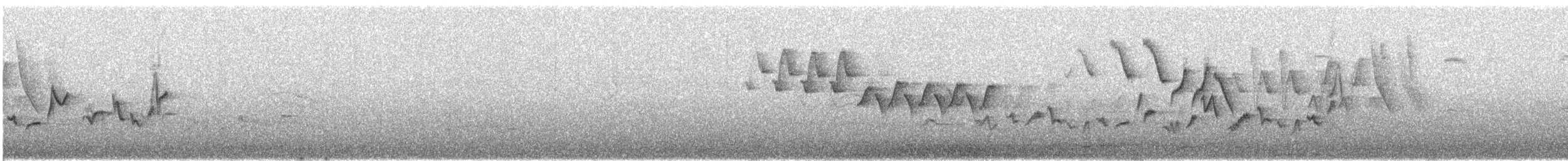 Eastern Warbling Vireo - ML644311701