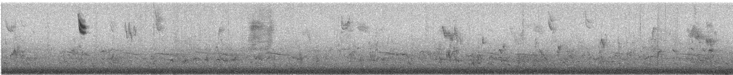 גיבתונית ערבות - ML644311869