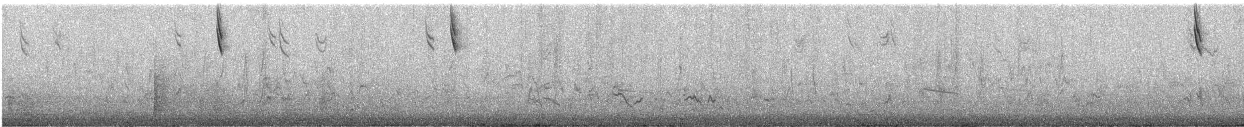 Savannah Sparrow (Savannah) - ML644311874