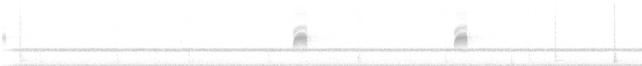 Oilagor amerikarra - ML644311956