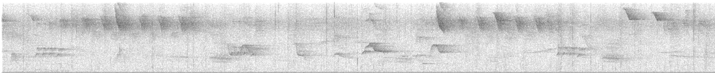 Piratic Flycatcher - ML644312247