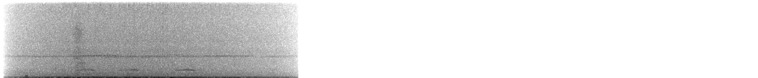 Common Raven - ML644313263