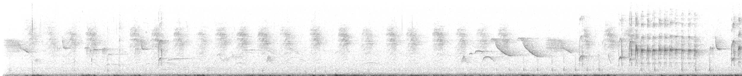 Дятел чилійський - ML644314186