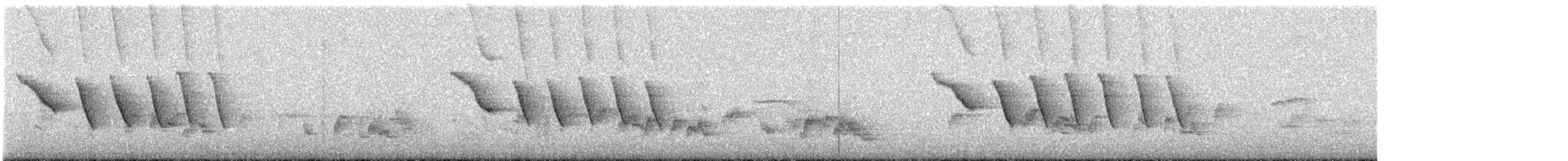 Шама індійська [група saularis] - ML644314570