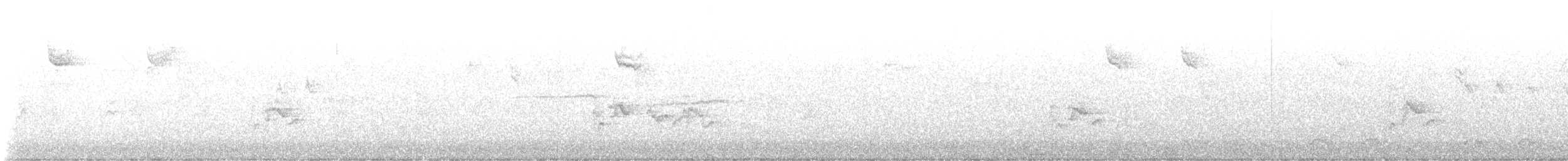 Чечевиця кармінова - ML644314648