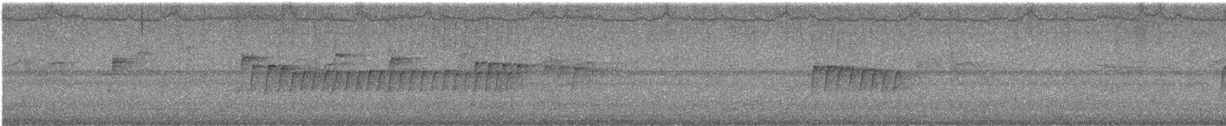 Сіпарая гайнанська (підвид latouchii/sokolovi) - ML644314794